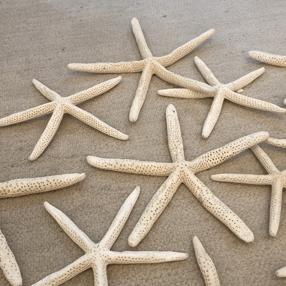 Natural starfish Christmas ornaments. All perfect ready for your coastal tree - Picture 4 of 8